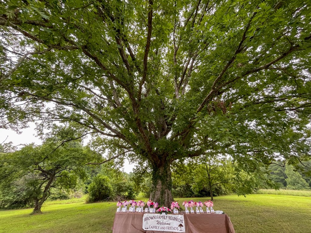 2025 Brown Family Reunion